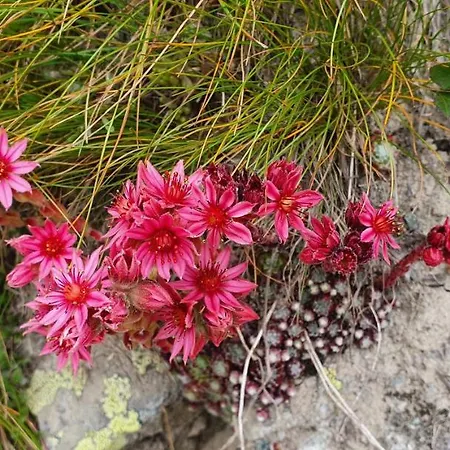 Apartmán Un Moment De Detente Inoubliable Saillon-les-bain Saillon
