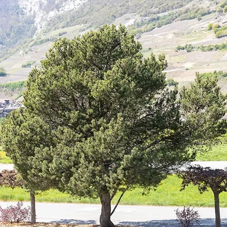 Apartmán Un Moment De Detente Inoubliable Saillon-les-bain