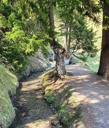 Apartment Un Moment De Detente Inoubliable Saillon-les-bain