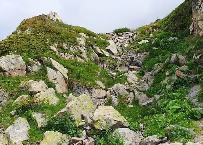 Apartment Un Moment De Detente Inoubliable Saillon-les-bain