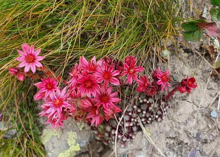 Appartamento Un Moment De Détente Inoubliable Saillon-les-bain Saillon
