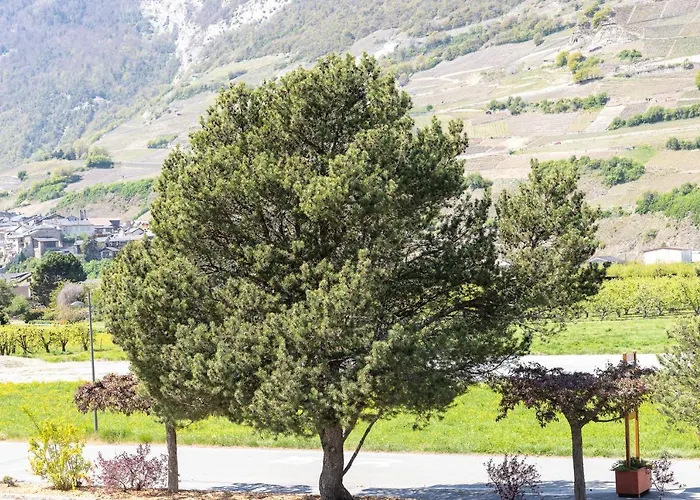 Apartamento Un Moment De Détente Inoubliable Saillon-les-bain