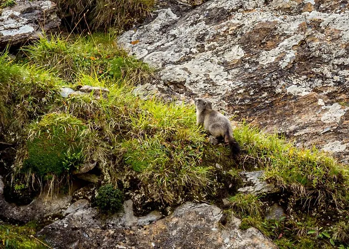 Appartamento Un Moment De Détente Inoubliable Saillon-les-bain Saillon
