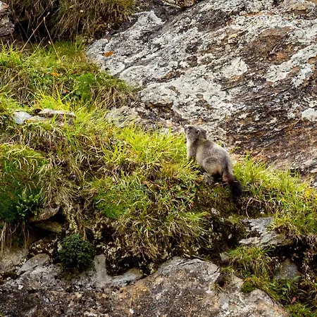 アパート Un Moment De Detente Inoubliable Saillon-les-bain サイヨン